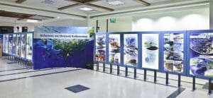 Photo of the Exhibition