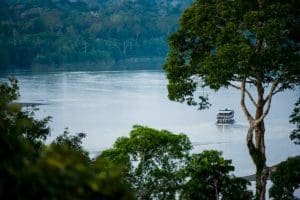 Ecuadorean Amazon.