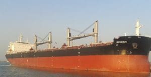 The Oceanus, the first vessel on the scene to search for the ill-fated Egypt air plane...