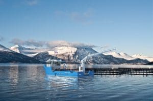 The STD UV 2410. An Artist Impression